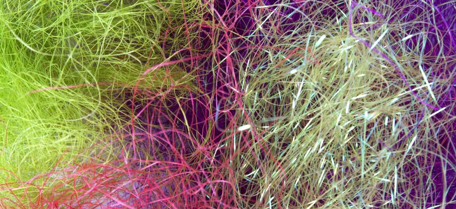 Biotechnological Development Of New Millennium Fibres